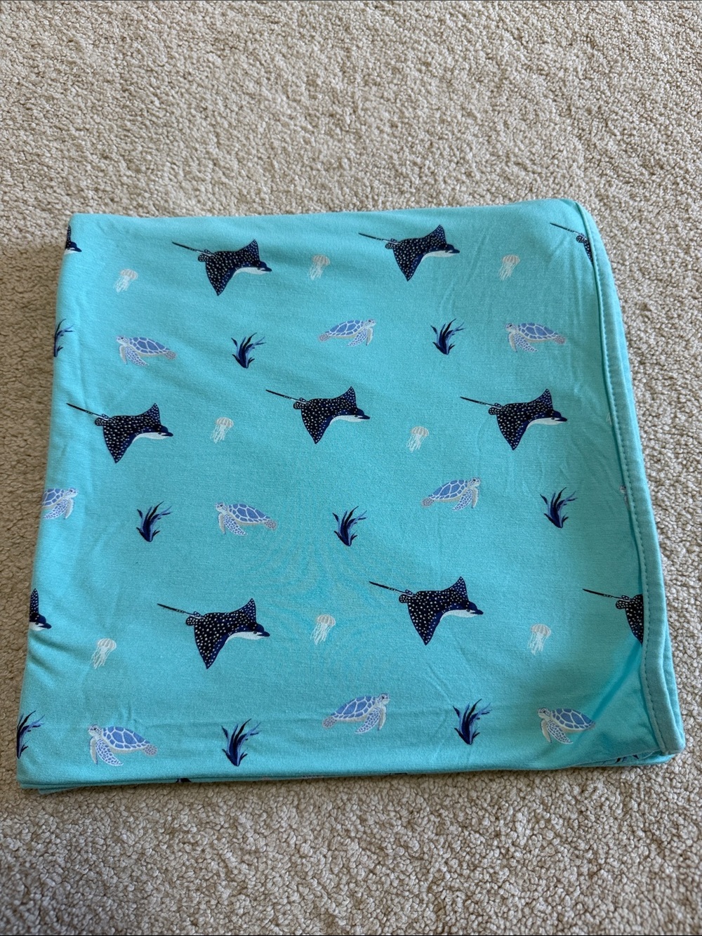 Kyte baby Swaddle
